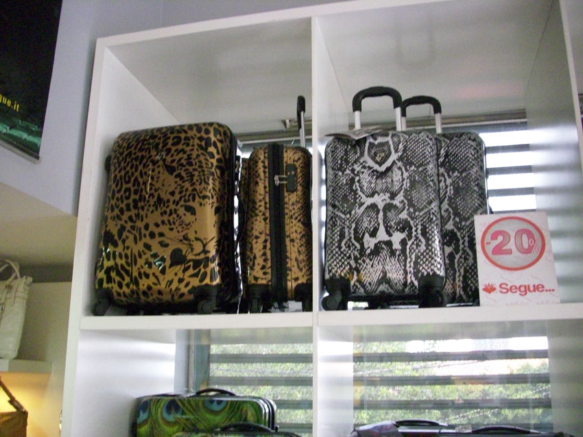 Segue Lebanon, bags in lebanon, fashion bags in lebanon,women’s bags in Lebanon, bags and shoes in Lebanon, handbags in Lebanon, hand bags in Lebanon, summer bags in Lebanon, beach bags in Lebanon, travel bags in Lebanon, luggage bags in Lebanon, bag shops in Lebanon, bag stores in Lebanon, casual bags in Lebanon, trendy bags in Lebanon, children’s bags in Lebanon, kids bags in lebanon